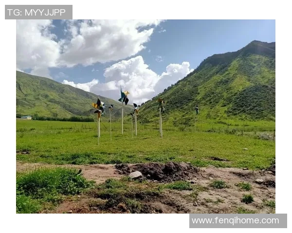 内蒙古草上飞与吉林百的精彩对决谁将赢得这场草原之战 内蒙古草上飞与吉林百的精彩对决谁将赢得这场草原之战