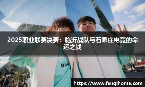 2025职业联赛决赛：临沂战队与石家庄电竞的命运之战