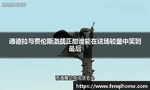 6163银河.net163.am